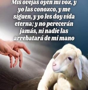 Meet your Posher, Francisca